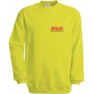color:pixel lime